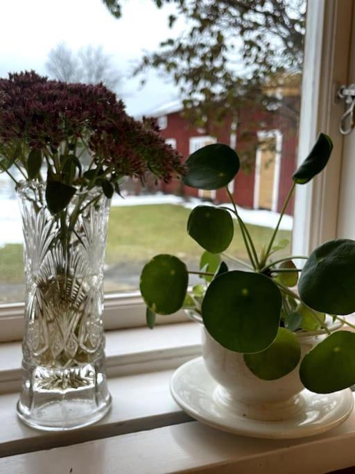 Gamla Ersgarden I Ersmark Umeå Dış mekan fotoğraf